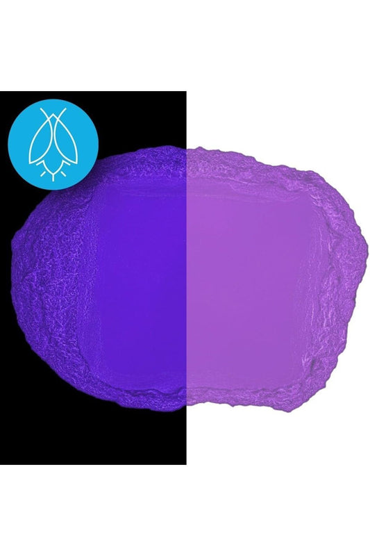 10gr Epoxy Purple Phosphorus Powder Glow in the Dark Powder, Colored Phosphorus Powder