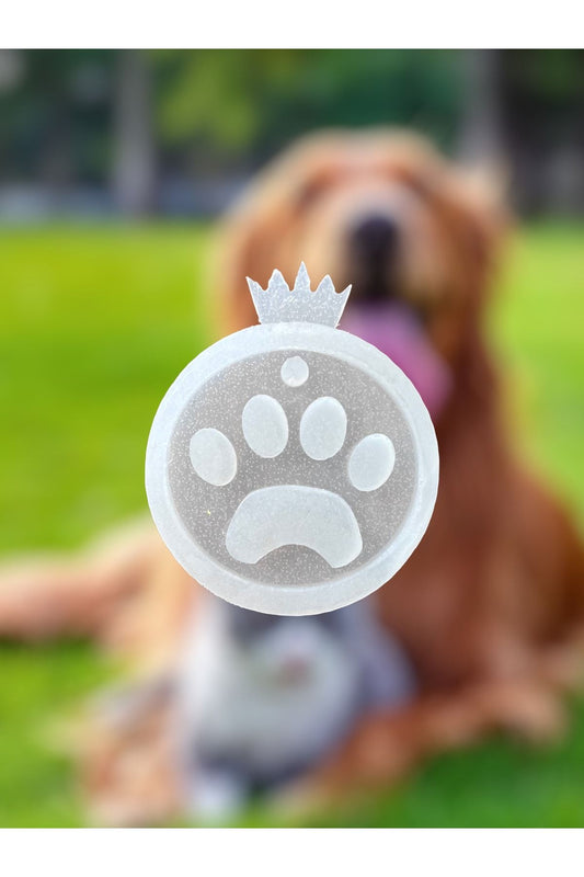 Epoxy Silicone Mold / Epoxy Mold / Resin Tag Necklace Collar Keychain / Dog Cat Silicone Mold